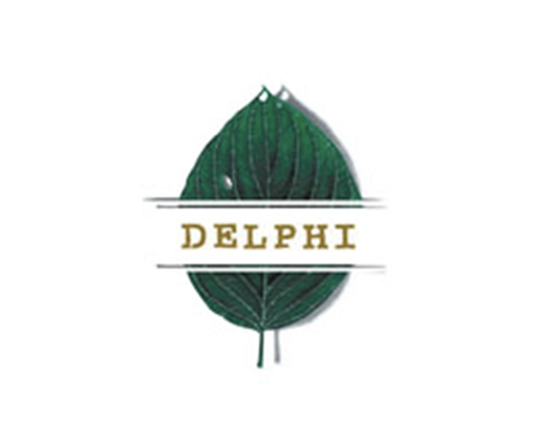 clientes__0042_Delphi